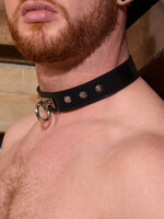 Put on a collar