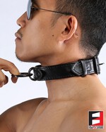 Play with your collar