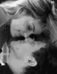 Nose each other