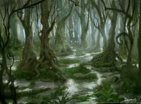 Explore: Swamp