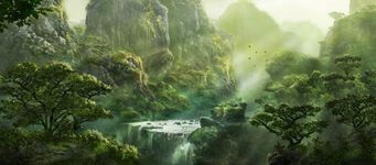 Explore: Jungle