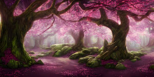 Explore: Cherry blossom forest
