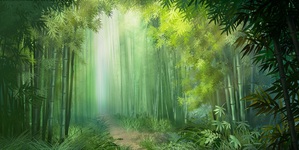 Explore: Bamboo forest