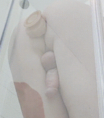 Shower Dildo Masturbation
