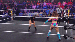 KO Roundhouse Kick