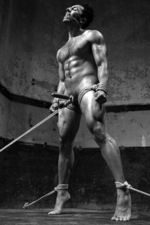 Bind him in the arena.