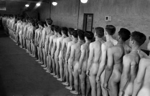 Losers are sent to be processed
