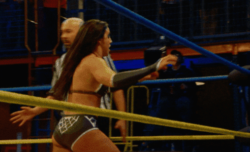 Out of the Ring Hurricanrana