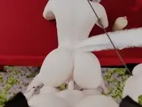 Let her cum inside you!