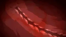 Penetrate her!