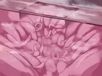Thrown into the tentacle pit!