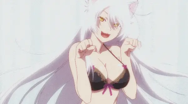 猫猫出击！
