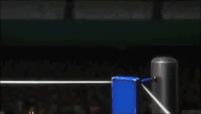 It’s time to get this party started! You enter the ring, confidently posing for the crowd. 