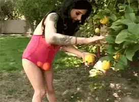 They haven’t looked at their lemon tree in approximately 10 seconds, so you steal a handful!