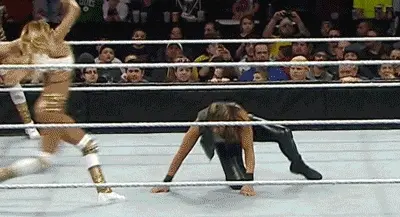 You jump, aiming a dropkick at her face! You think you miss, but she goes down hard. You must have nailed her!