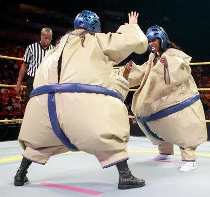 Sumo