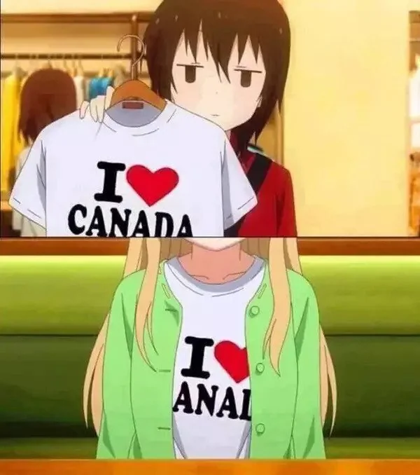 You profess you love of all things Canadian! Moose! Celine Dion! Hockey! Tim Hortons! Poutine! Apologizing!