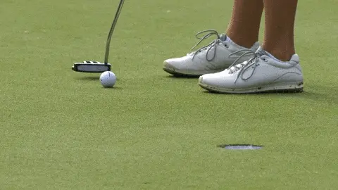 Let’s put some balls in holes!