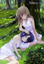 Lap Pillow