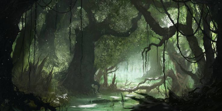 Explore: Swamp