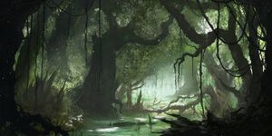 Explore: Swamp