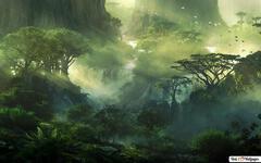 Explore: Jungle