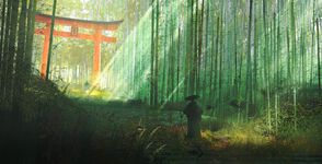 Explore: Bamboo forest