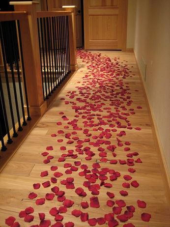 Path of Love