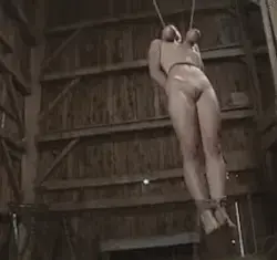 Bondage: Breast suspension