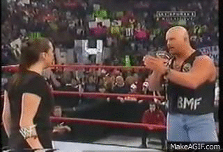 You hit her with a devastating STUNNER! And that’s the bottom line!