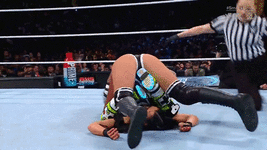[Finisher] Wrestling Pin