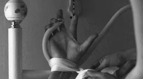 Tie him up