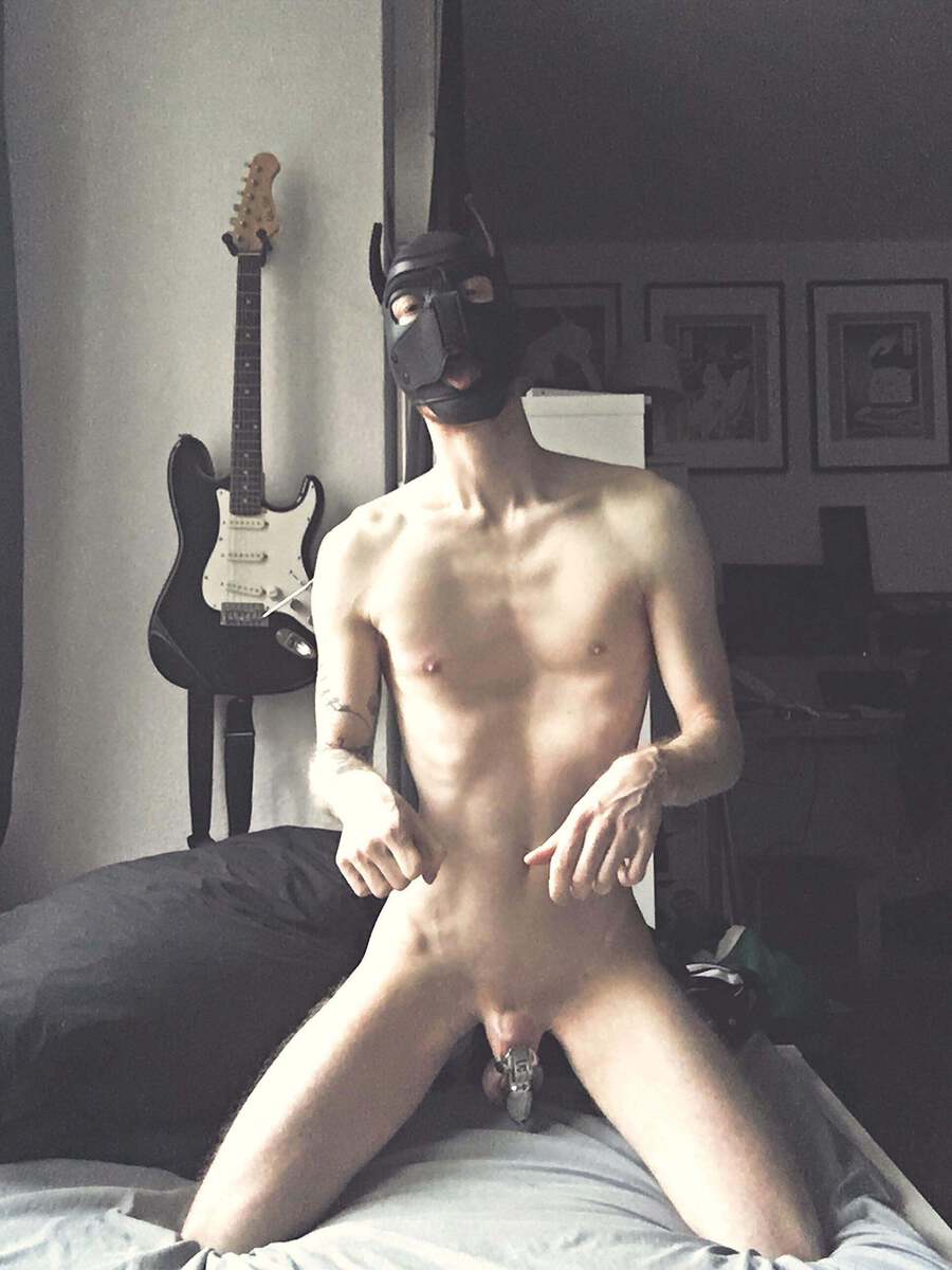 Greet your owner
