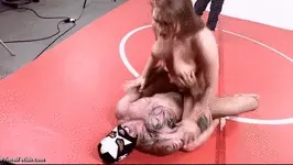 Sie fickt härter!