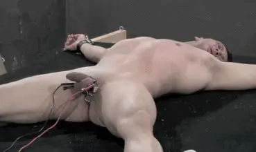 Estim torture