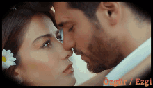 Nose each other