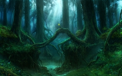 Explore: Dark Forest