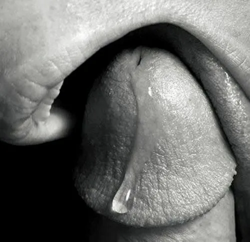 Leck dein Precum