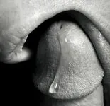 Leck dein Precum