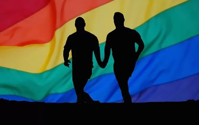 According to our sources, the collective has so far failed to assimilate gay bots. Thank you very much for volunteering to support our fight against the collective. We will inform you, should the situation change. This message will self-destruct after you have confirmed that you read it.