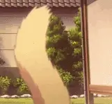 Wag your tail