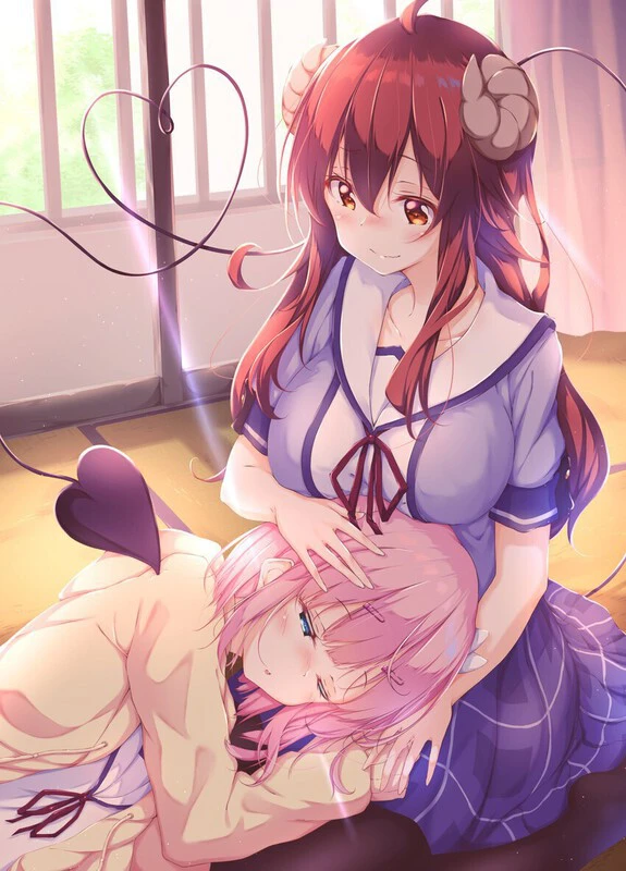 Lap Pillow