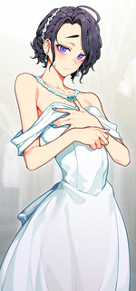 Wear the bridal gown yourself