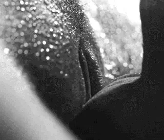 Get her pent up