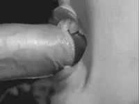 Cock Biting