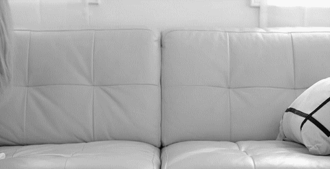 Netflix & Chill
