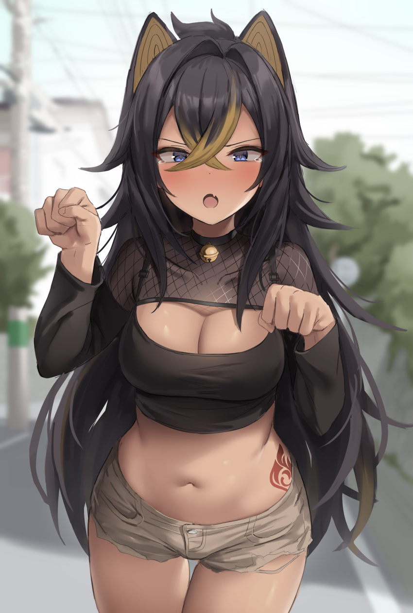 猫猫出击！