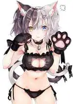 Kitty lingerie