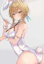 Collar the bunny!