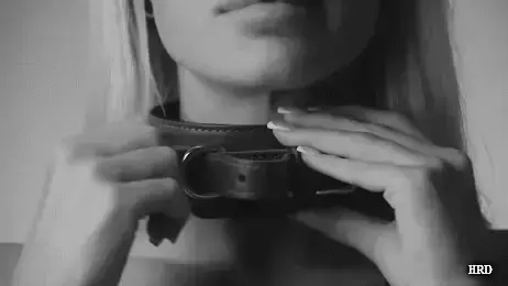 Collar yourself
